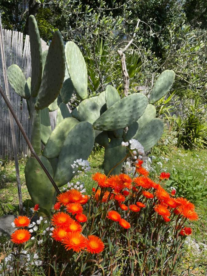 Villa Paolo Lemon Tree Porto Venere Exterior photo